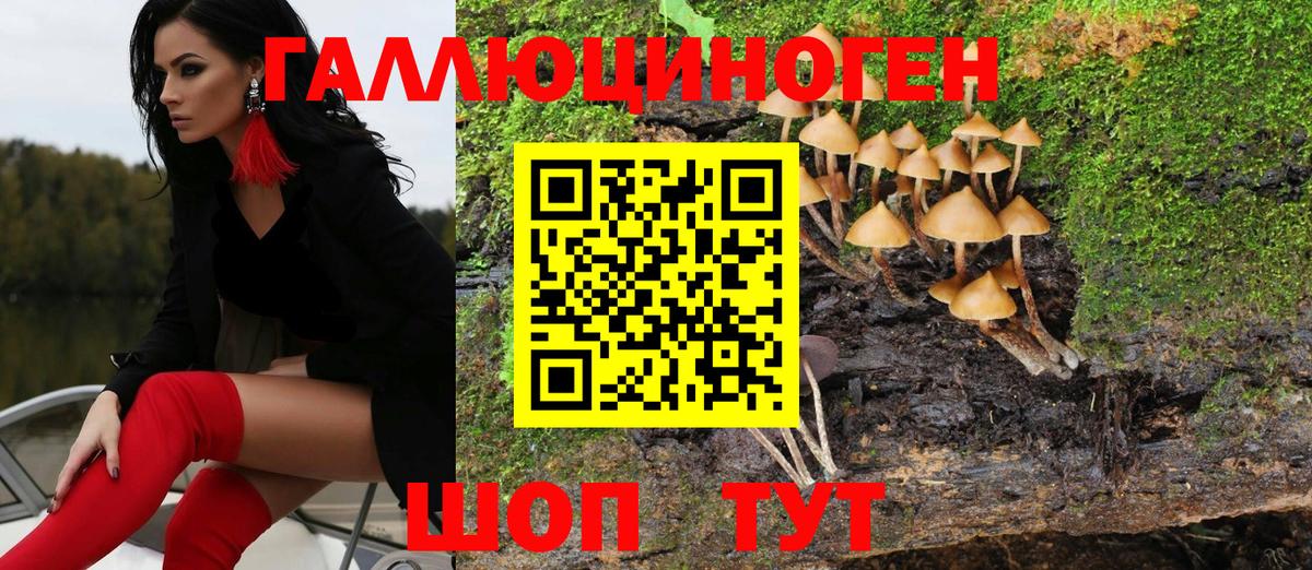 Сургут  Галлюциногенные грибы Psilocybe  Вход с VPN 